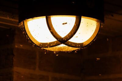 Copyright: Foto: NABU/Jan Piecha