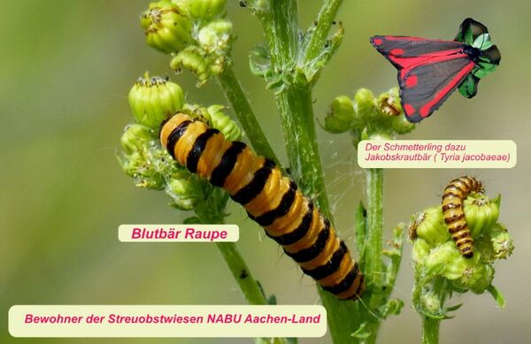 Foto: unbekannt
