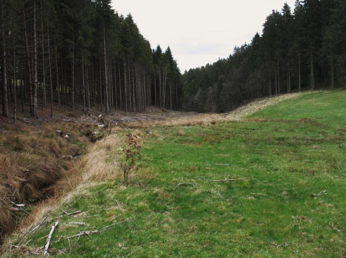 Grundstück Heisterbachtal Foto: Wolfgang Voigt