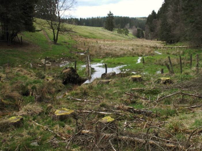 Heisterbach Foto: Wolfgang Voigt 2012