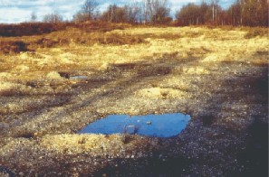 Foto: Wolfgang Voigt