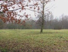 Foto: Eike Lange