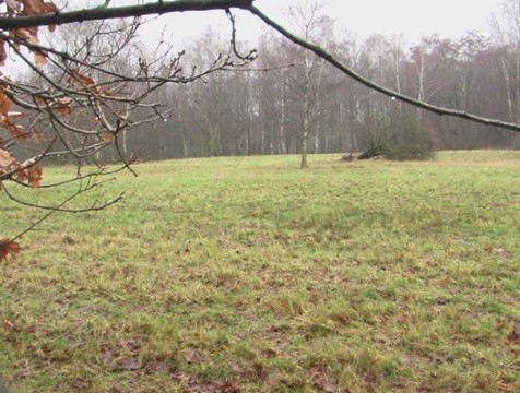 Foto: Eike Lange