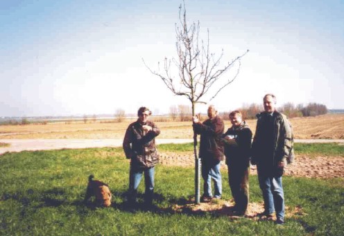 (v.l) Eike Lange, Hans Raida, Karl Gluth und Hermann Schmaldienst Foto: Wolfgang Voigt