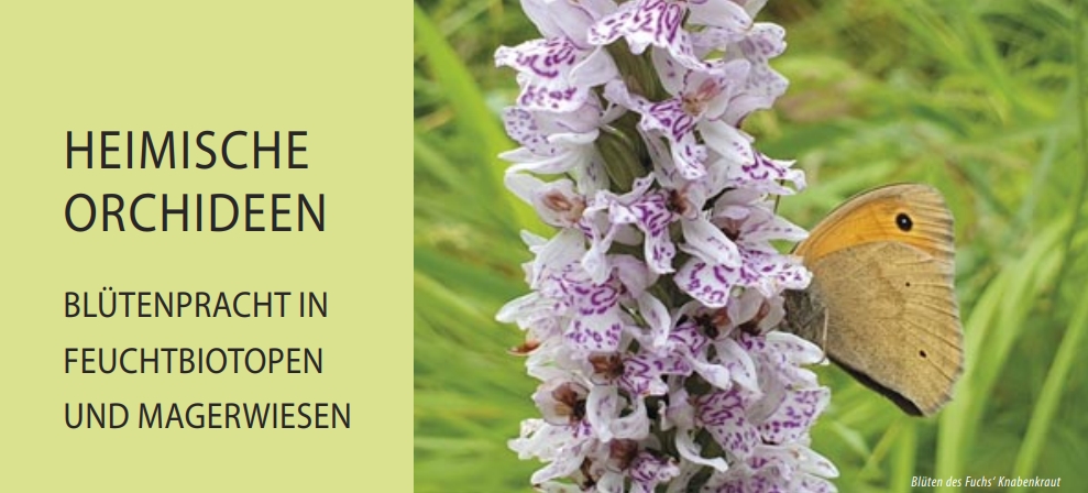 https://www.filmpost.de/regiolife/ausgaben.html