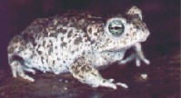 Foto: Wolfgang Voigt