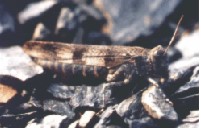 Foto: Wolfgang Voigt