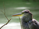 Foto: Wolfgang Voigt