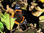 Foto: Wolfgang Voigt